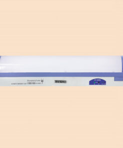 Đèn chiếu sáng khẩn cấp KT 4200DL